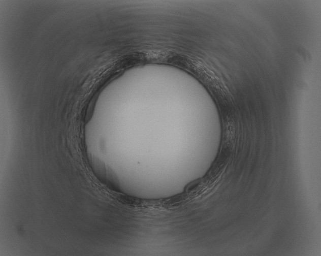 X0000116551249200912241548