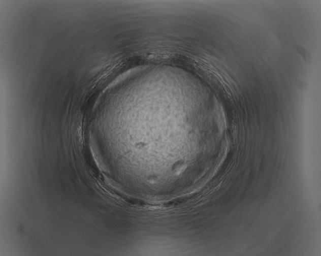 X0000116551250200912241548