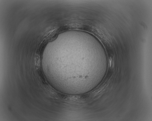 X0000116551251200912241548