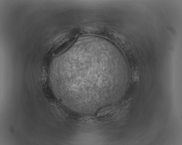 X0000116551253200912241548