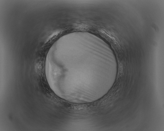 X0000116551254200912241548