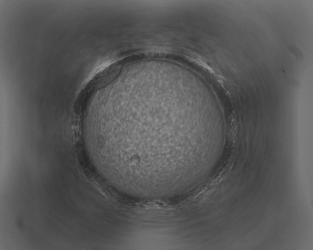 X0000116551255200912241548