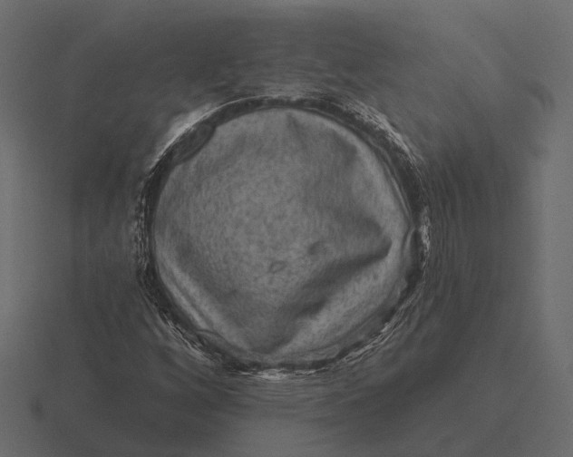 X0000116551256200912241548