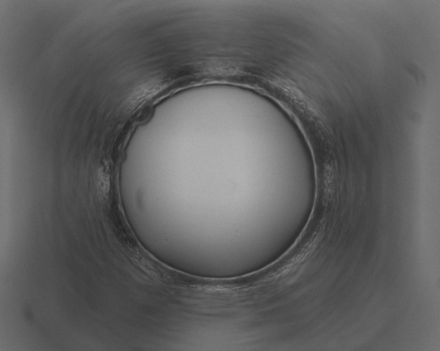 X0000116551257200912241548