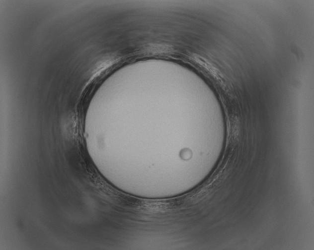 X0000116551258200912241548