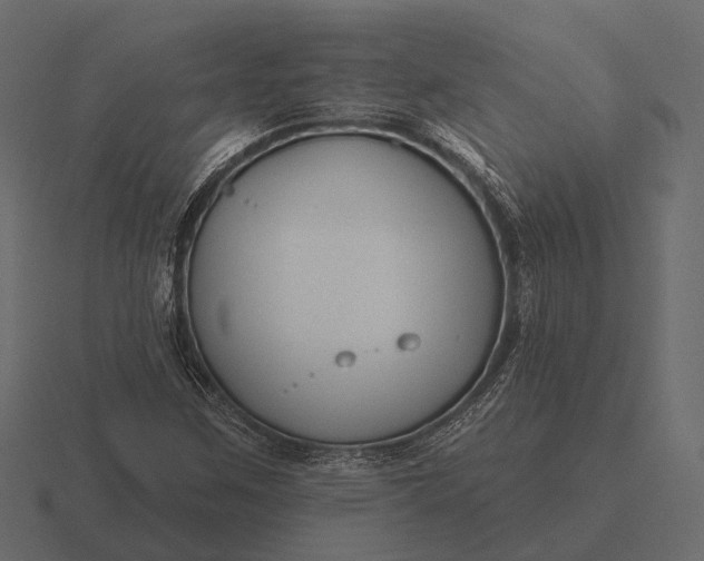 X0000116551259200912241548