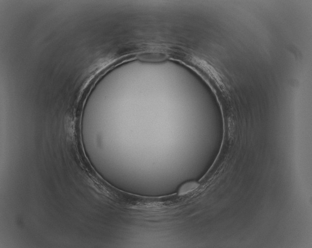 X0000116551260200912241548