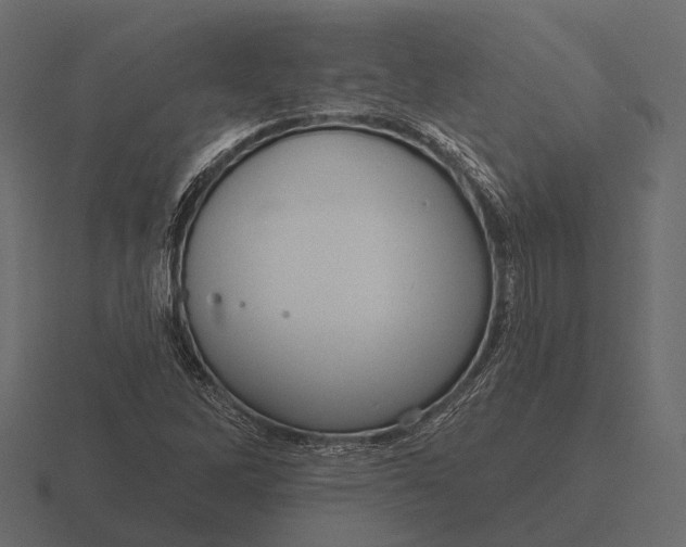 X0000116551262200912241548