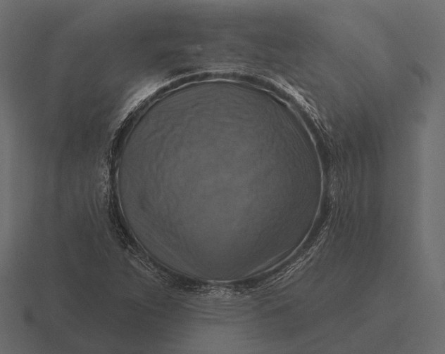 X0000116551263200912241548