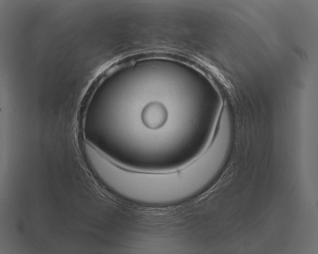 X0000116551264200912241548