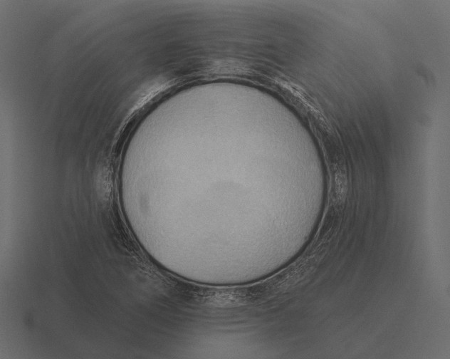 X0000116551266200912241548