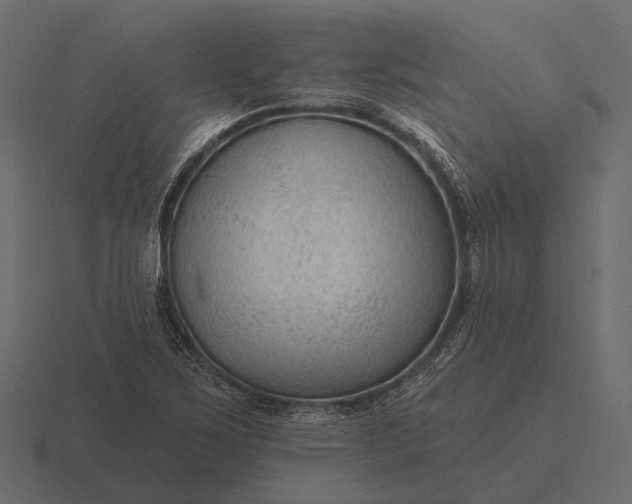 X0000116551267200912241548