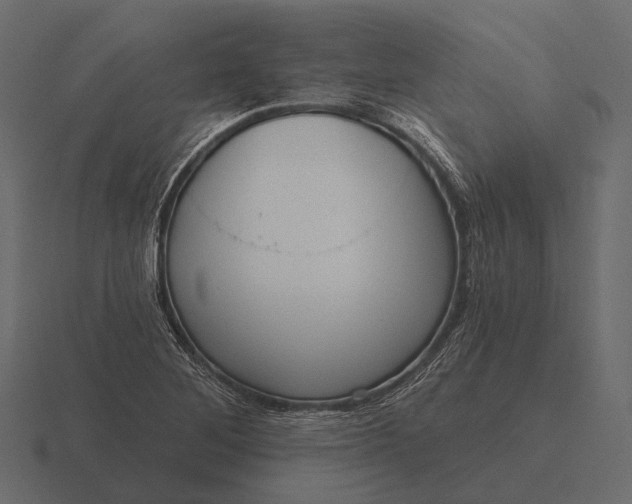 X0000116551268200912241548