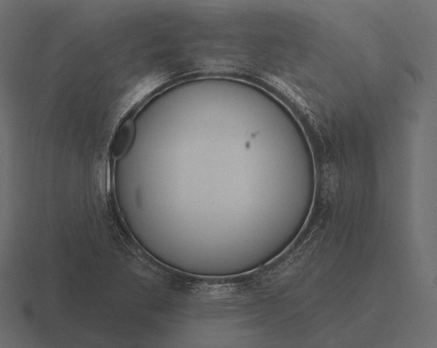 X0000116551269200912241548