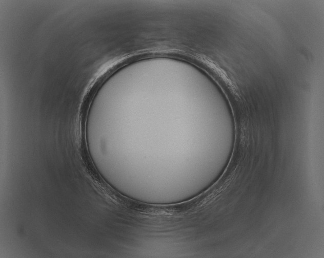 X0000116551270200912241548