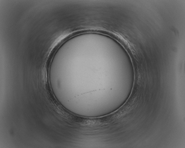 X0000116551271200912241548