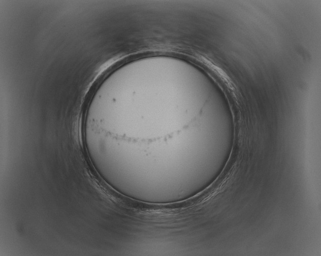 X0000116551272200912241548