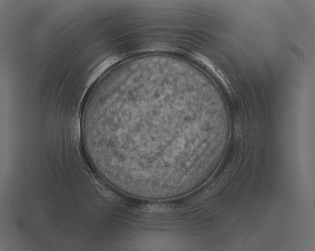 X0000116551274200912241548