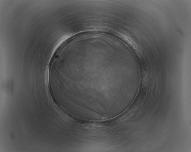 X0000116551275200912241548