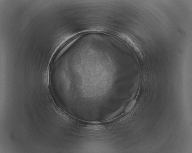 X0000116551276200912241548