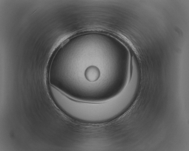 X0000116551277200912241548