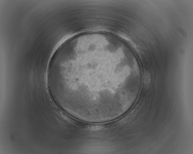 X0000116551278200912241548