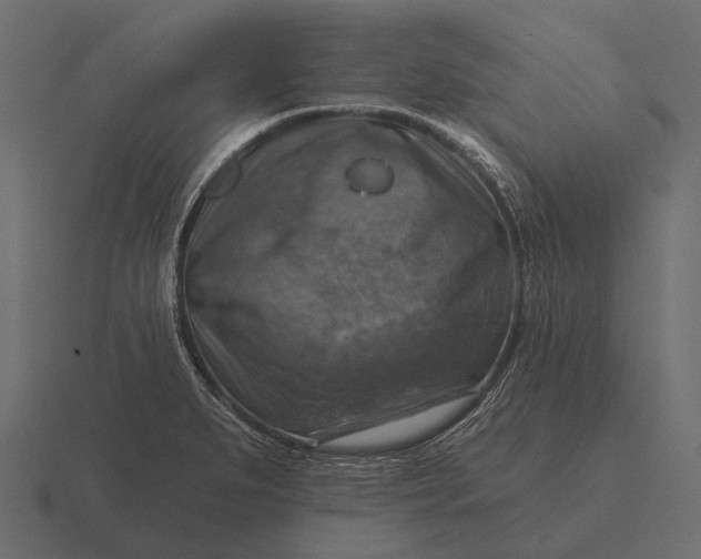 X0000116551279200912241548