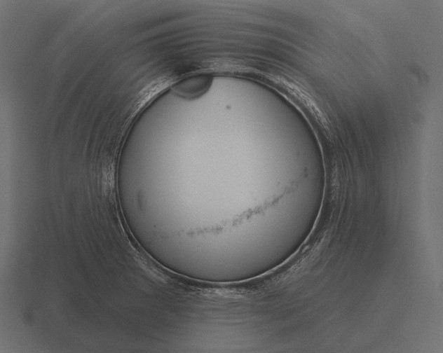 X0000116551281200912241548