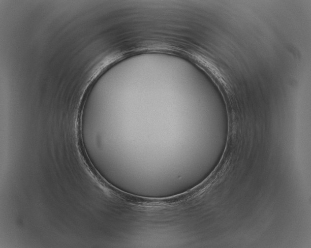 X0000116551282200912241548