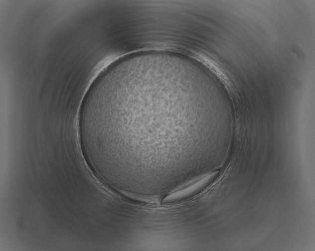 X0000116551283200912241548