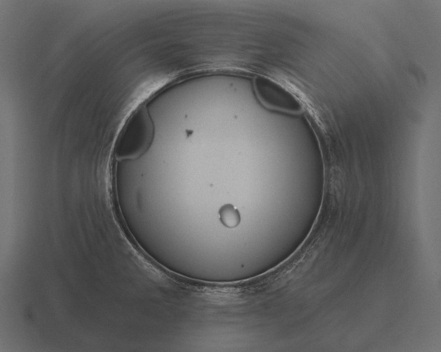 X0000116551285200912241548