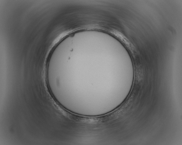 X0000116551286200912241548