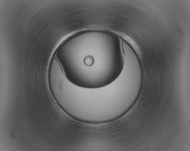 X0000116551288200912241548