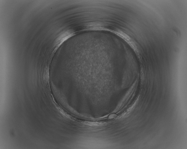 X0000116551289200912241548