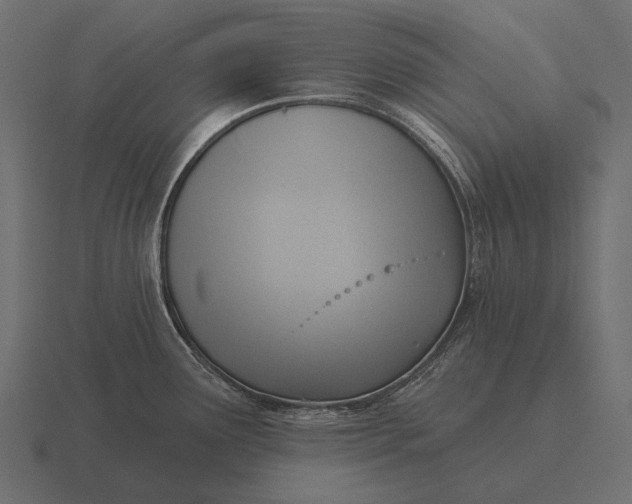 X0000116551291200912241548