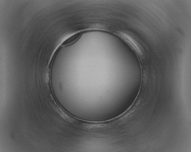 X0000116551292200912241548