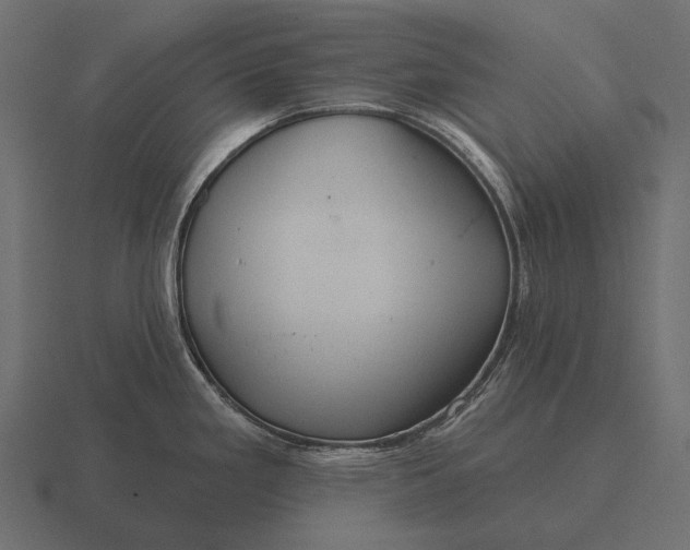 X0000116551293200912241548