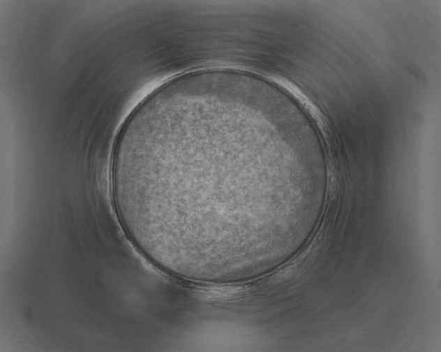 X0000116551294200912241548