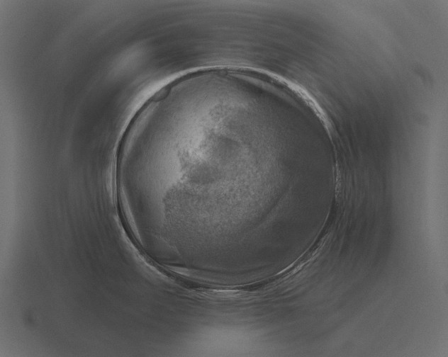 X0000116551295200912241548