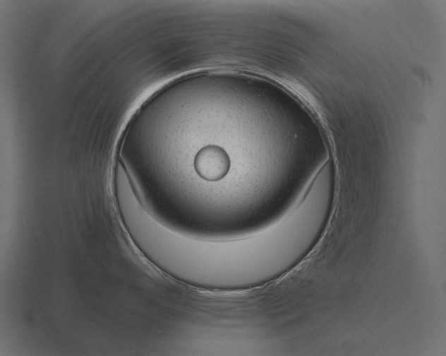 X0000116551296200912241548