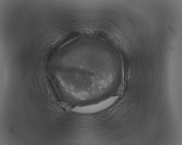 X0000116551297200912241547