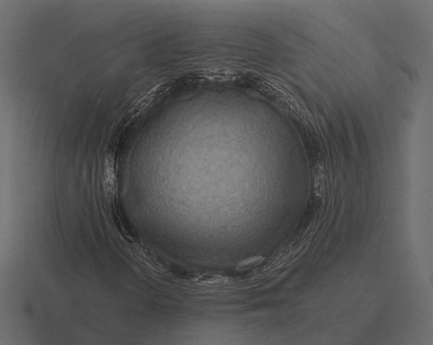 X0000116551298200912241547