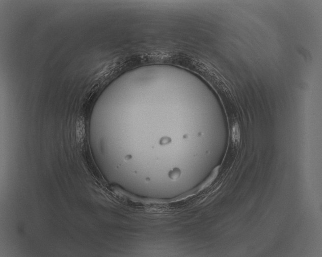 X0000116551299200912241547