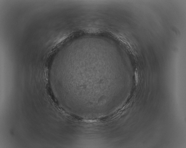 X0000116551301200912241547