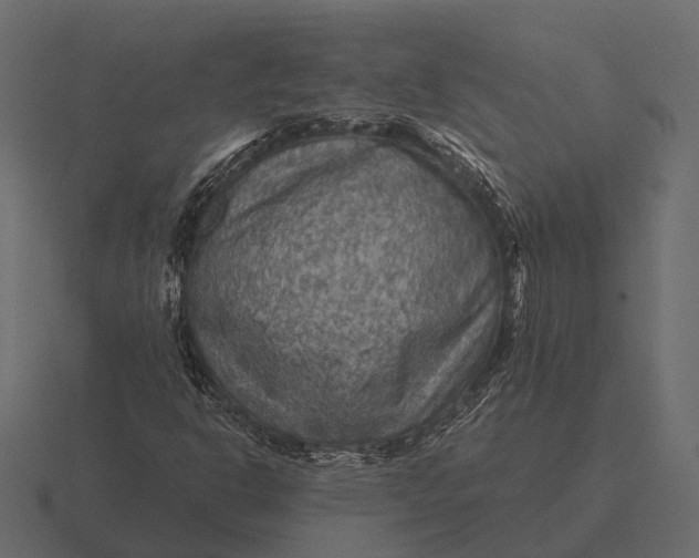 X0000116551302200912241547