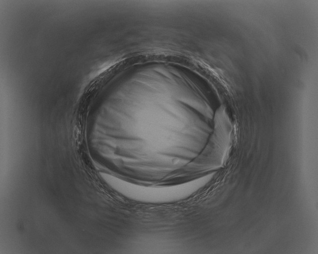 X0000116551303200912241547