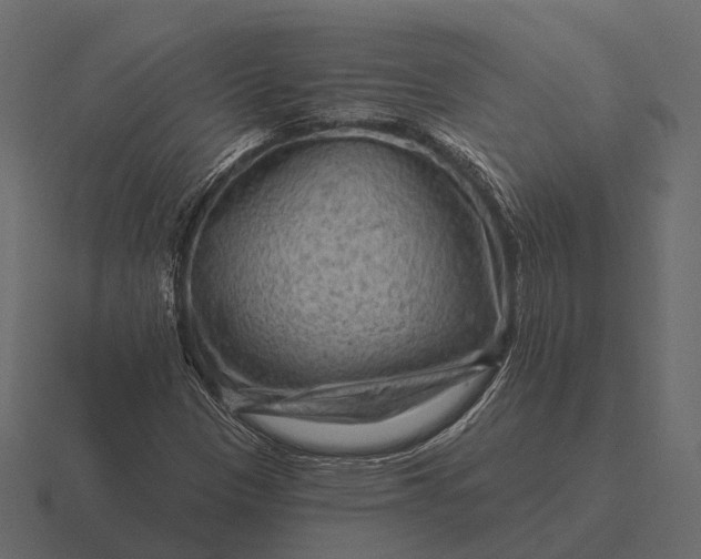 X0000116551305200912241547