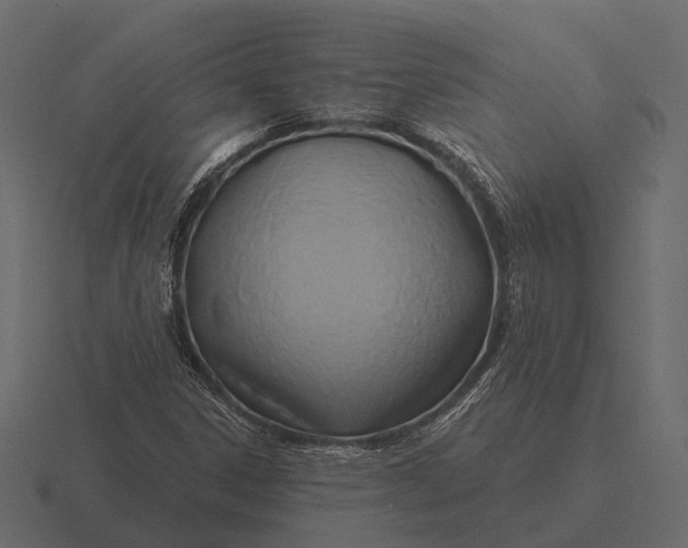 X0000116551306200912241547