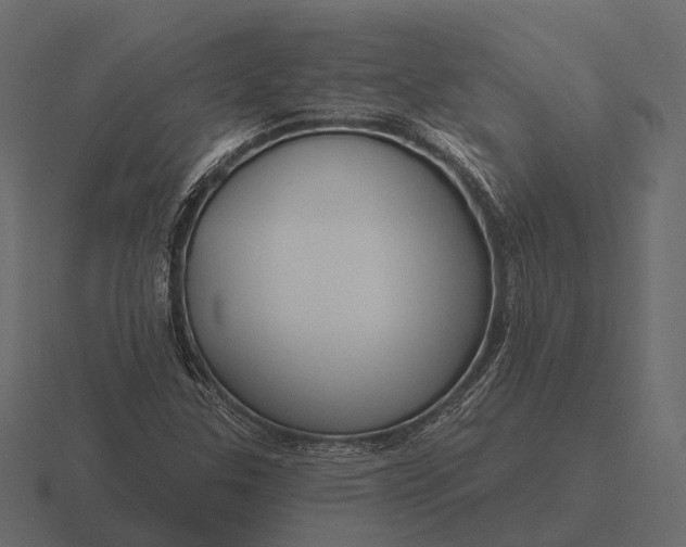 X0000116551307200912241547