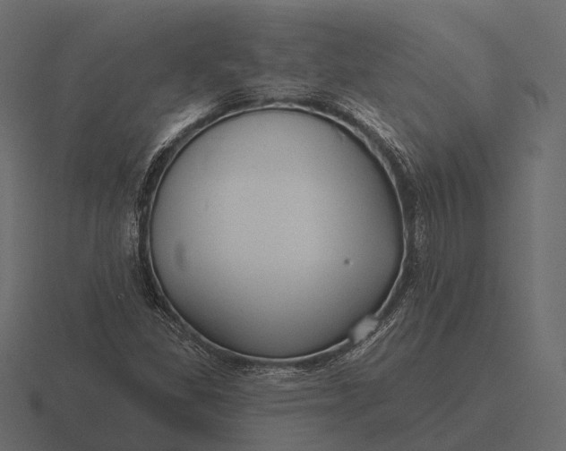 X0000116551309200912241547